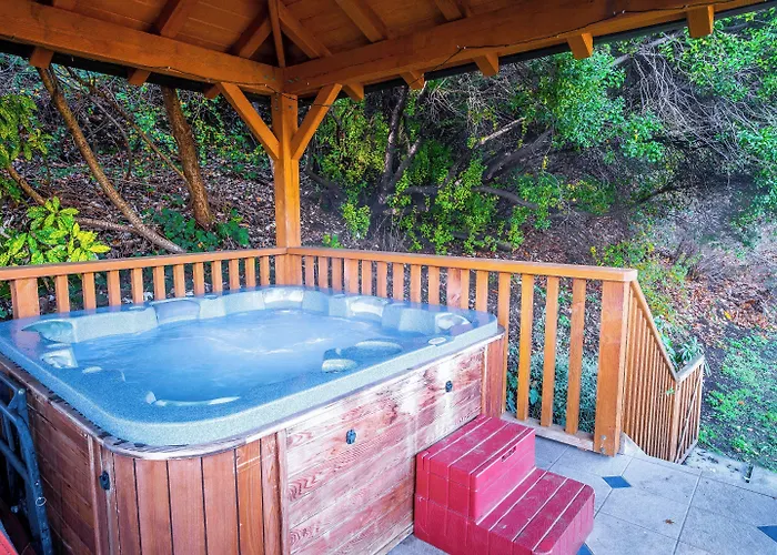 瓦纳卡温泉住宿加早餐旅馆 5* 瓦纳卡